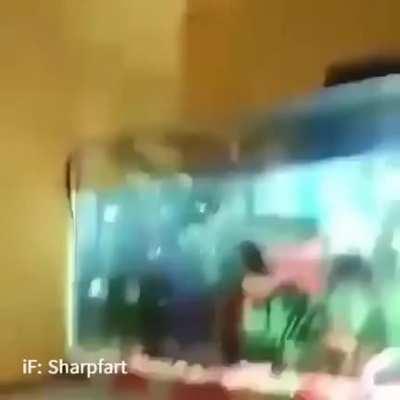 When evolving to go on land is taking to long so you take a fast route