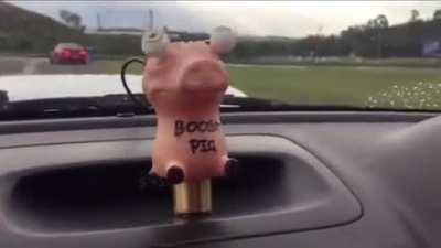 Boost pig