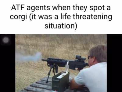 It might have been a terrorist