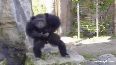 Gamma ramp + Future SWAPS got me like...