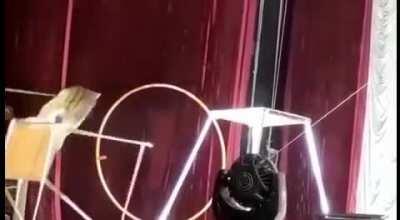 Pulling a leash too hard