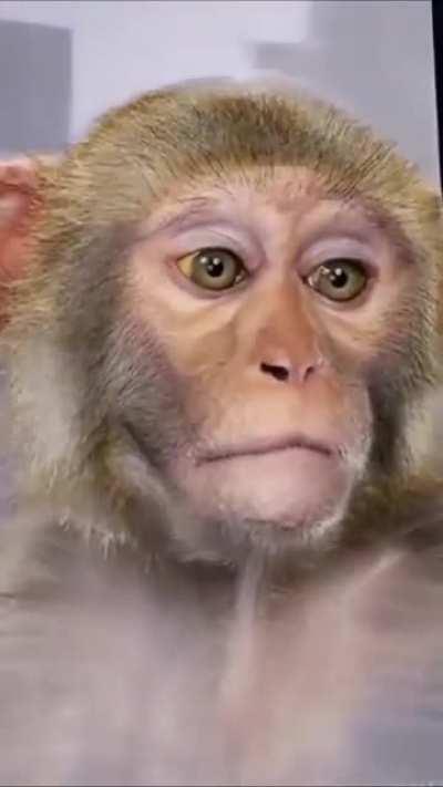 Bhai maine nhi banaiyi mujhe mat pito