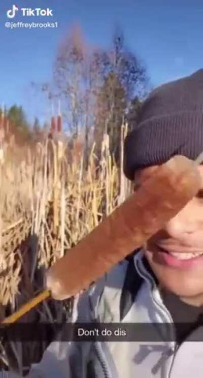 Guy takes a bite out of a forbidden corn dog
