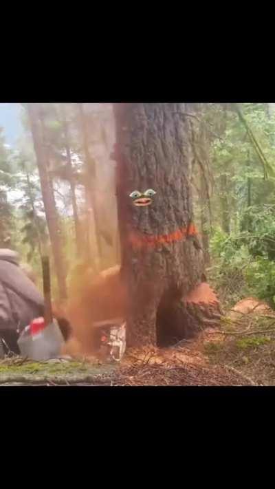 This tree decided to show no mercy 