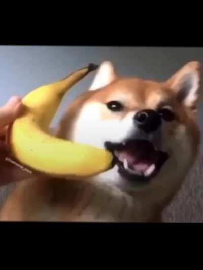 Ring ring ring ring ring ring banana phone