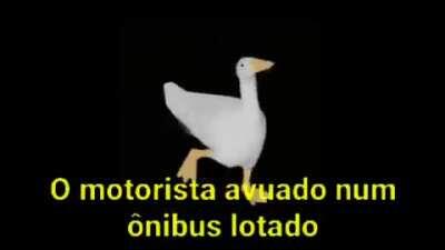 O Zonibu Vai Derrapa