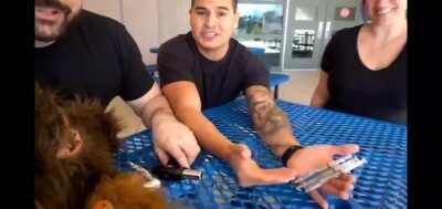 HAHAHA! CDPR took a hit of that live service joint. Credit to AngryJoe and the AngryJoeShow.