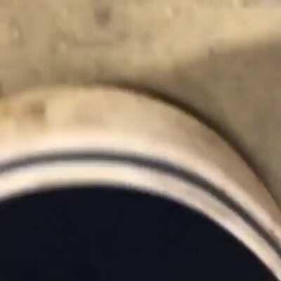 Faceplanting into concrete