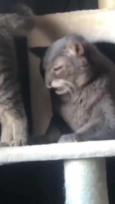 Face of absolute regret.