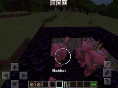 Finished building my obsidian piglin and pigman prison