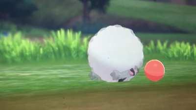 Wooloo stuck pls help