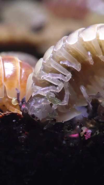 The glass is very dirty, let me clean that for you