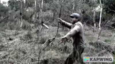 shavale un amigo me mando esto, de donde salio esto porque ni puta idea de donde