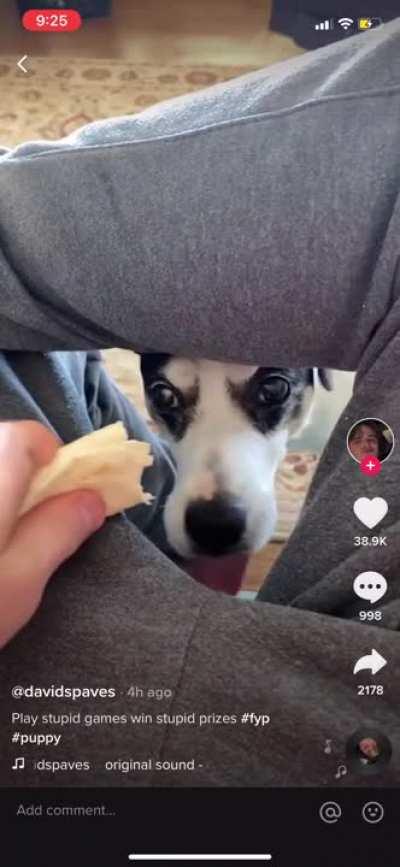 screamed like a girl