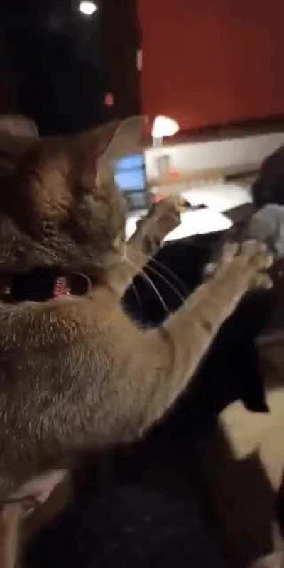 Quarantine got us training hard