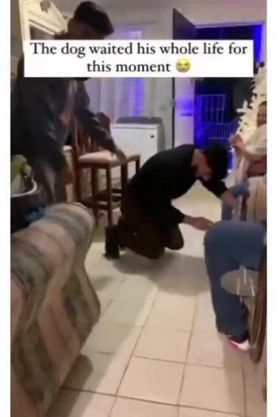 The life and soul of the party