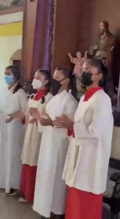 Honorary Party Parrot