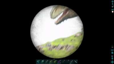 When you find out you can knock out Dinos with a boomerang