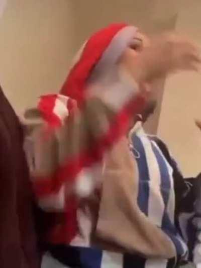 The excitement in her eyes 😂