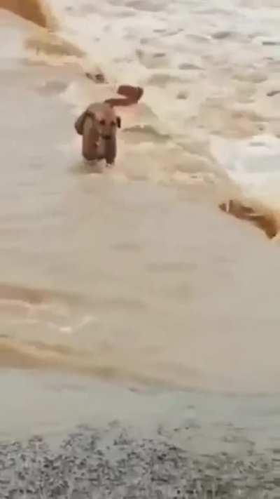 TanmayBhatKeDost - Video #7946