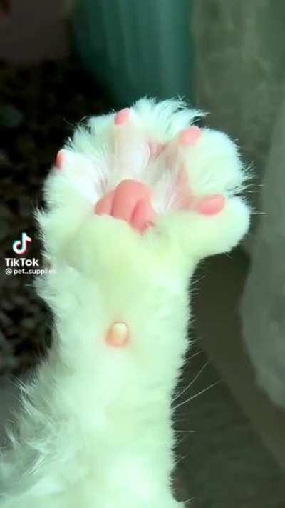 Freshly peeled beans