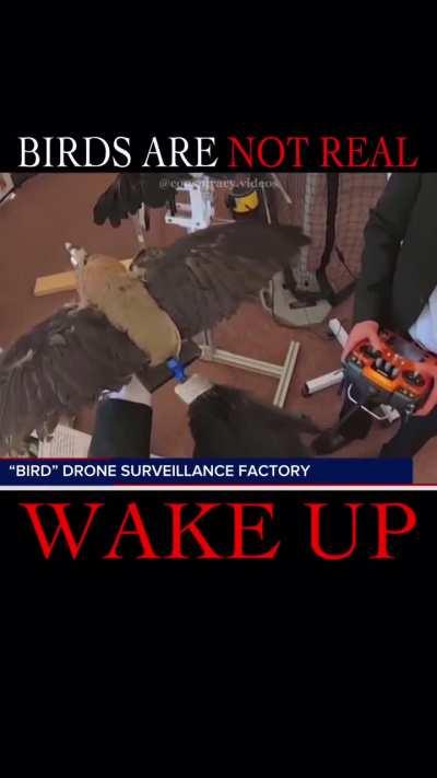 B-Bourgeoisie I-International R-Recording D-Device