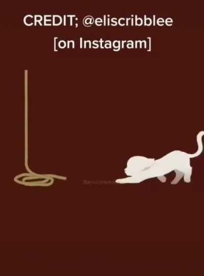 ✋Cuz why’d you have to kill my cat ?