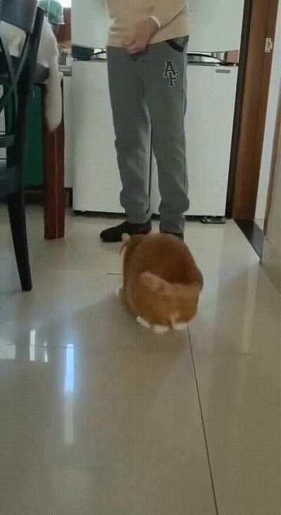 He generally likes to surprise us