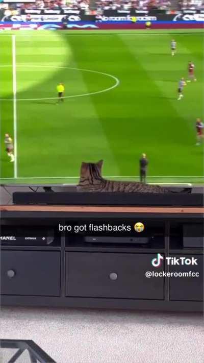 if you know you know (not my vid)