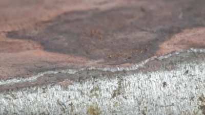 Electroless Plating Copper Onto Steel Using Copper Sulfate