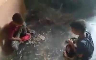 Kids play stupid game