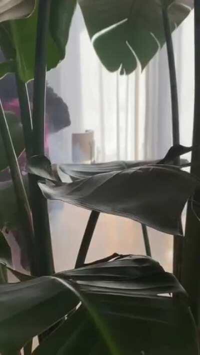 The full video she promised