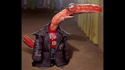 Cool shrimp character