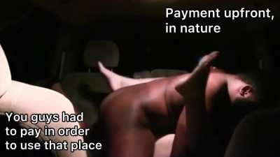 Sure you can stay. Payment Upfront, in Nature 🐢