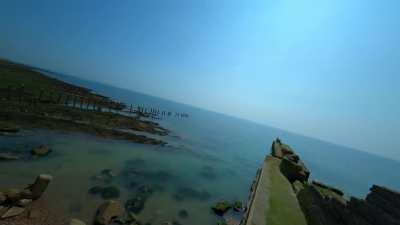 How to be a seagull...