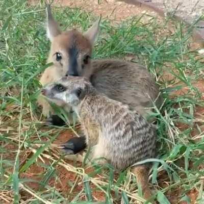 Hygiene is important you know