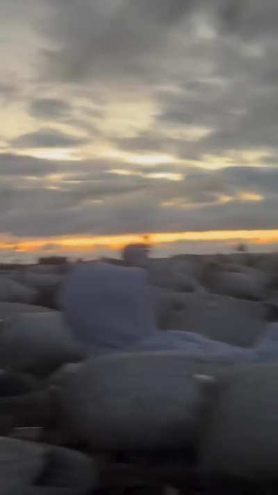 Thanks to the drunk driver who wrecked his car and stumbled into our decoy spread being chased by the cops.