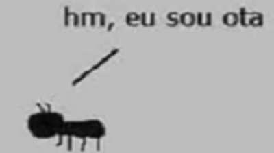 Você foi surpreendido?