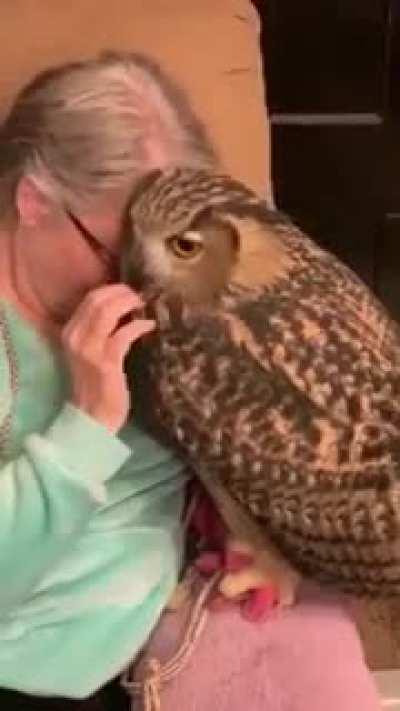 Never thought we could cuddle with an owl..