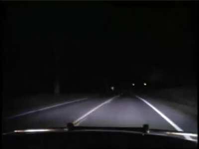 Deer are the fucking worst