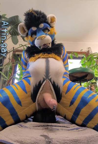 Jacking off isn't nearly as fun as Weredog's Jack!