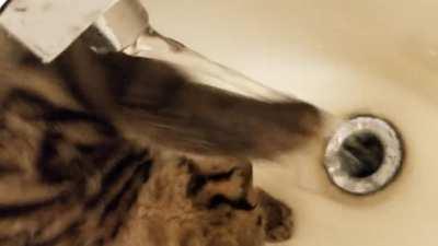 Not sure of the plumber they sent me..