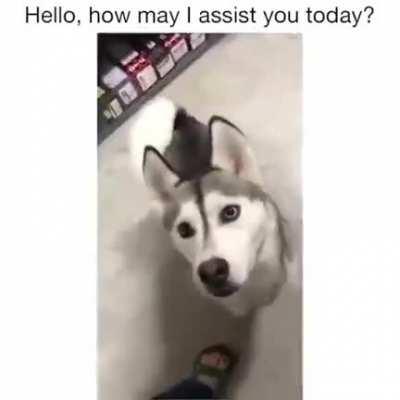 Best service man.. ever