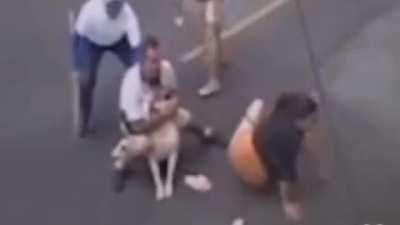 Dog gets rnc'ed while biting woman
