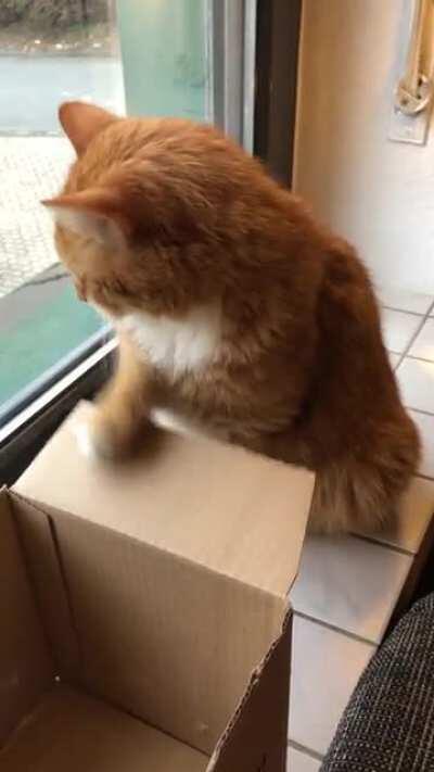He does this with every new box