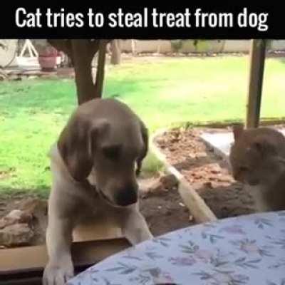 To steal a treat