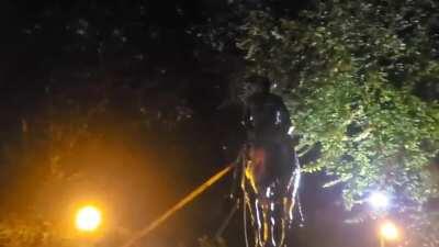 Portland antifa cheer as they pull down a statue of Teddy Roosevelt for Indigenous People's Day of Rage. After this, they took down Lincoln