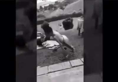 cursed_video my friend sent me