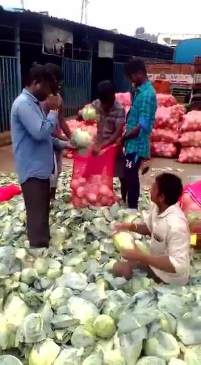 Why Robotics and automation are not very common in India