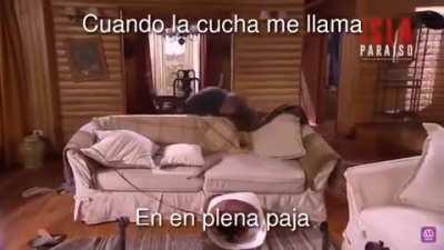 Súper yo 👉👈😳